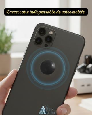 Puce shungite pour téléphone