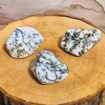 Agate dendritique - Pierre roulée