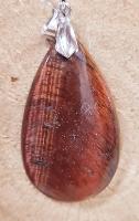 Oeil de taureau