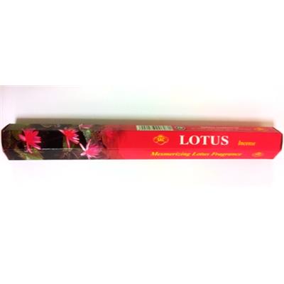 Lotus